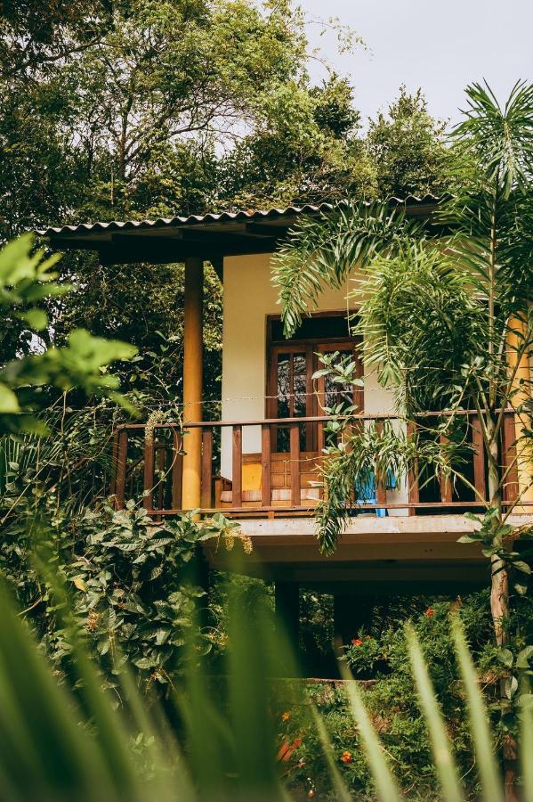 Hotel Sigiri Liya Rest Sigiriya Exteriér fotografie