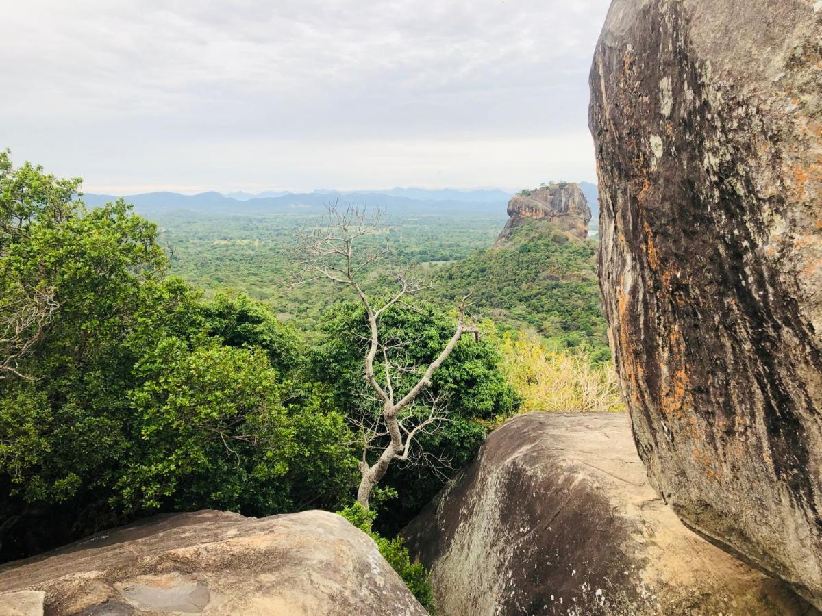 Hotel Sigiri Liya Rest Sigiriya Exteriér fotografie