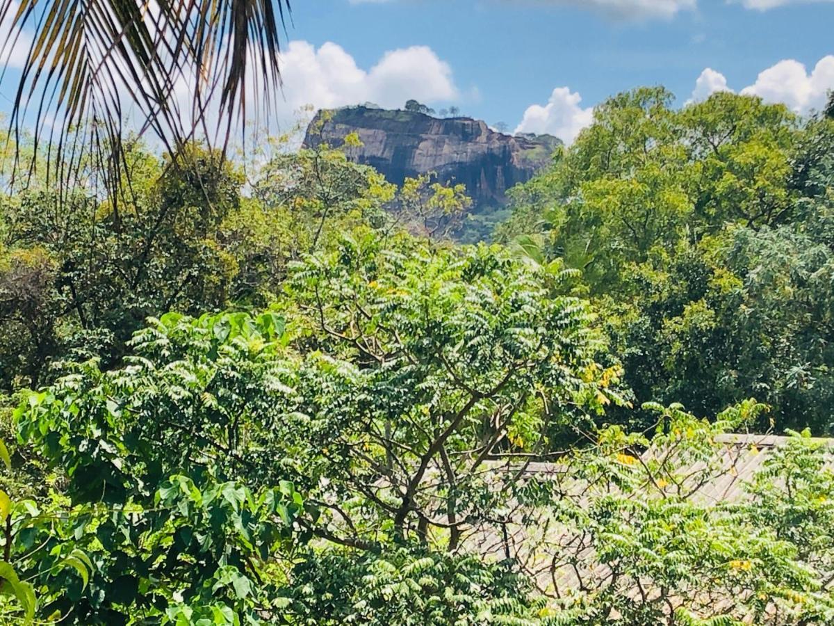 Hotel Sigiri Liya Rest Sigiriya Exteriér fotografie