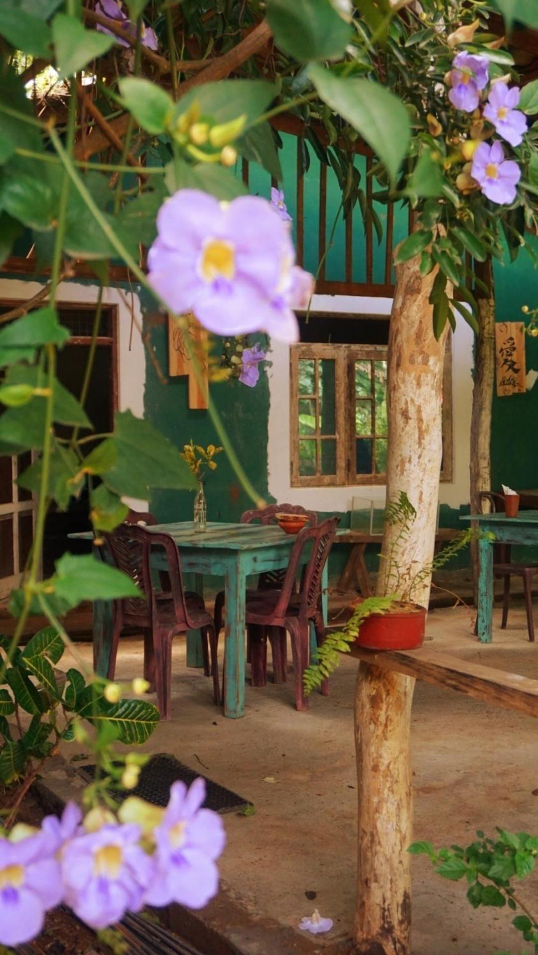 Hotel Sigiri Liya Rest Sigiriya Exteriér fotografie